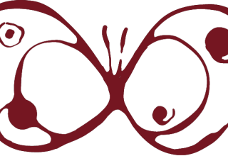 A butterfly as result of metamorphosis