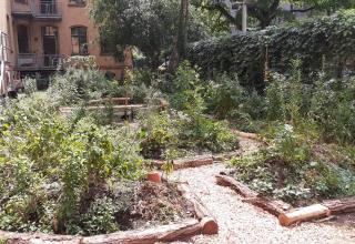 School garden in Berlin 2026 School garden in Berlin 2026