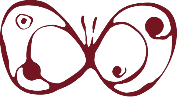 A butterfly as result of metamorphosis