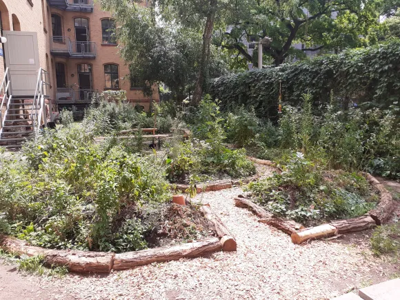 School garden in Berlin 2026 School garden in Berlin 2026
